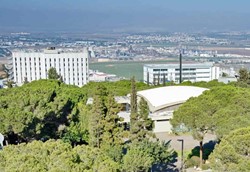 Examining Companies that are Based on Technion Knowledge