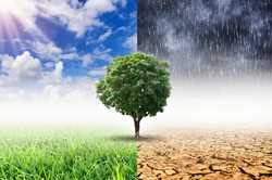 Seminar - Climate Change: The Challenges and The Opportunities