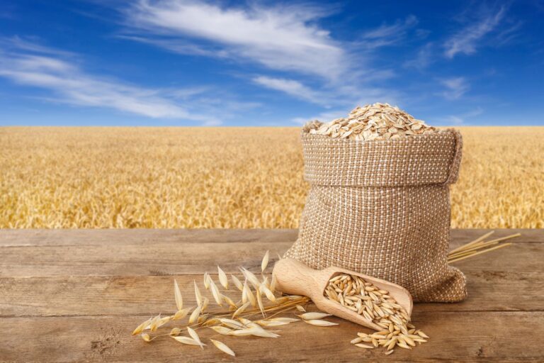 oatmeal in bag on nature background