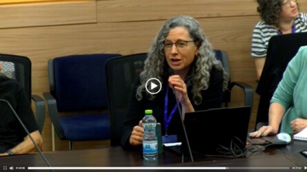 a picture of Prof. Orit Hazzan speaking in the Knesset