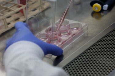 A researcher works at a biological sciences lab at Weizmann Institute of Science WIS in the Israeli city of Rechovot on Sept. 7, 2023. Stem cell researchers created artificial models of human embryos and successfully grew them outside the womb up to day 14, WIS in central Israel said in a statement on Wednesday. In a new study published in the journal 