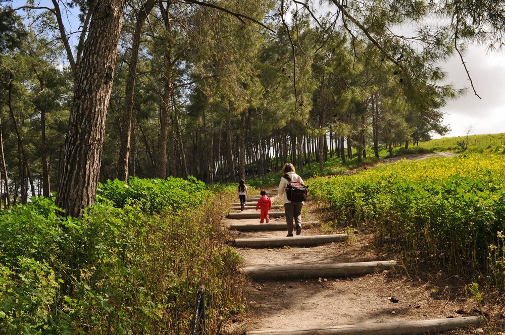 Family and children walking on a path in forest