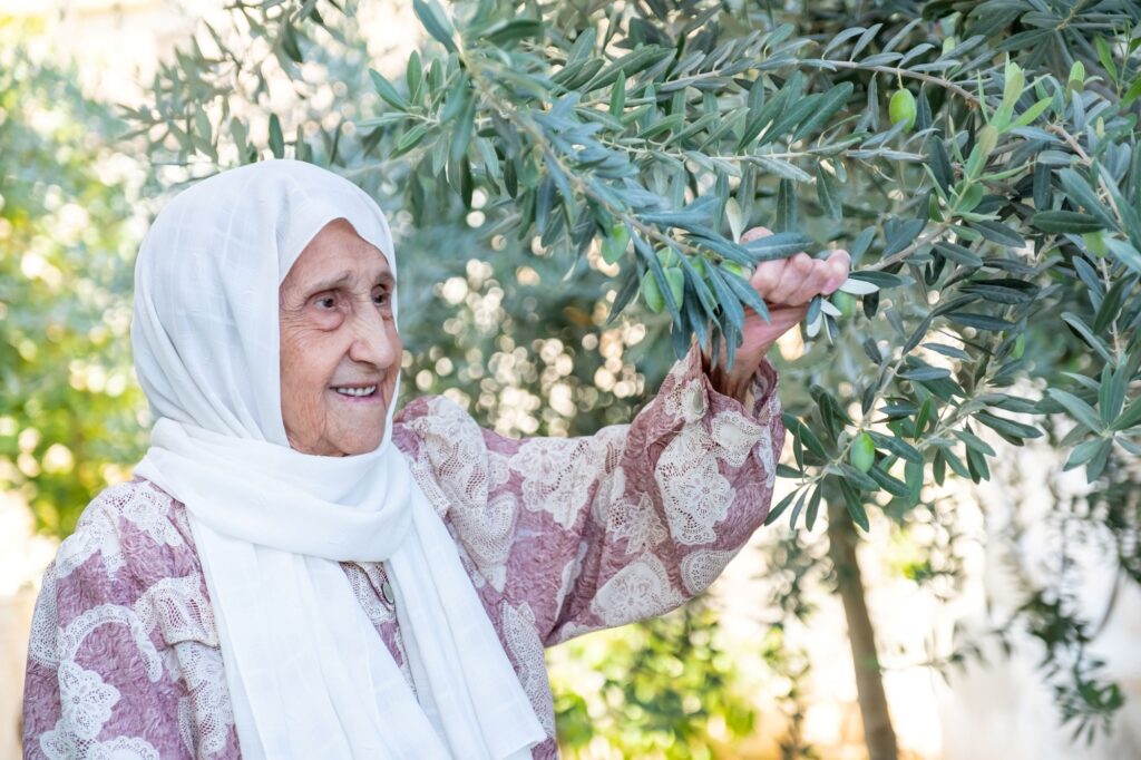 Old woman holding a branch