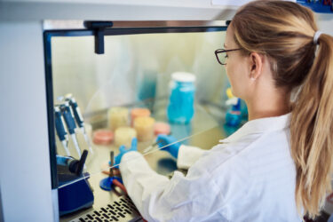 Female technician analyzing samples in petri dishes inside of a biosafety cabinet while working in a lab