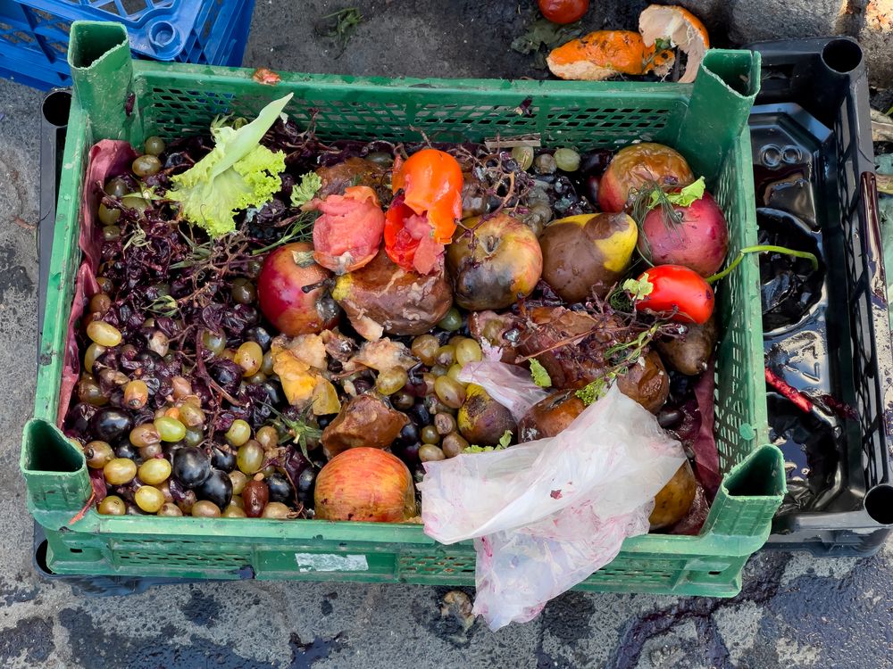 A vibrant collection of spoiled fruits and vegetables fills a green crate, showcasing the waste of produce in a bustling market setting. The mix highlights the impact of food waste
